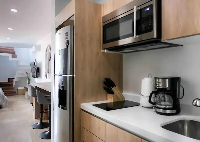 Stayon5a Av Penthouse With Privatepool Apartment Playa del Carmen
